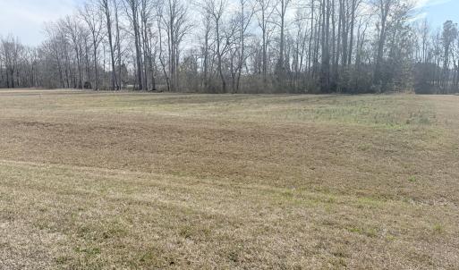 Lot 41