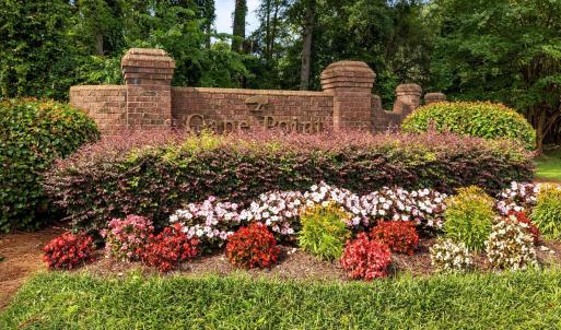 Cape Point in the Summer
