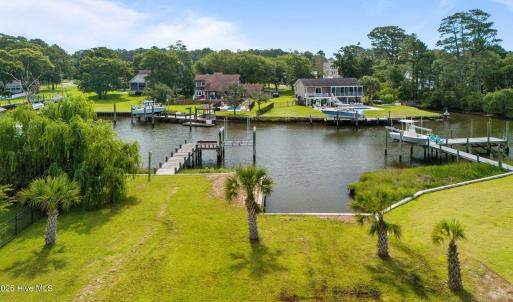 4 Established Palms in place.