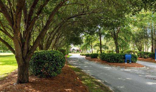Enchanting Entrance to the Community