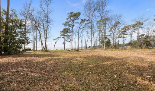 13-web-or-mls-IMG_1822