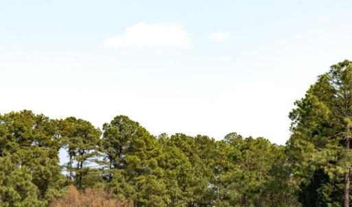 Pinewild CC Driving Range