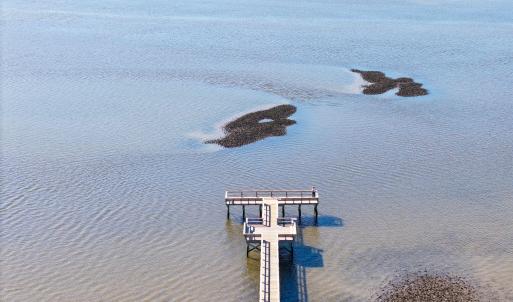 15-web-or-mls-CAMMediaLLC.com 3055-19