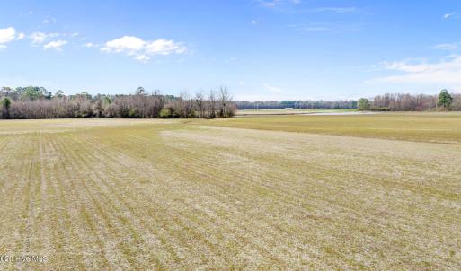 DJI_0661
