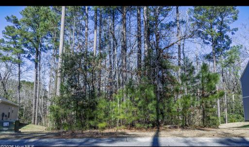 Screenshot 2026-03-09 at 11.41.20AM