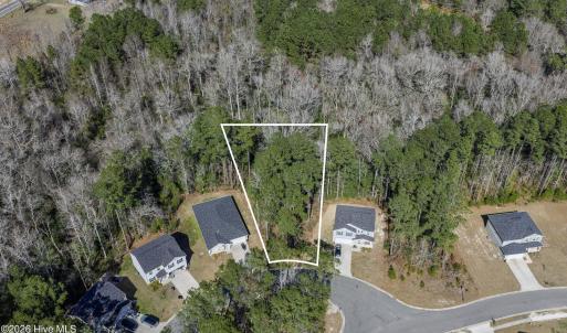 Screenshot 2026-03-09 at 11.29.10AM