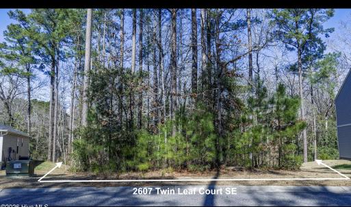 Screenshot 2026-03-09 at 11.42.13AM