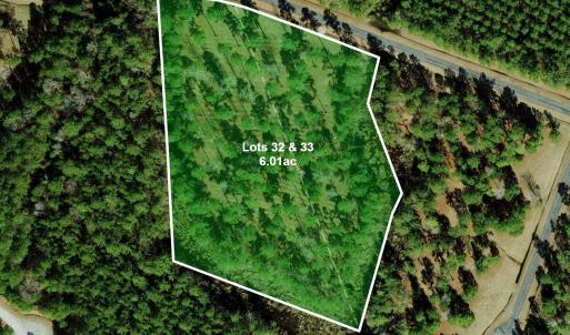 BaileyPointe-Lots-32-33-Sat1
