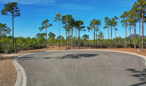 2696YellowPoplarPath - 1