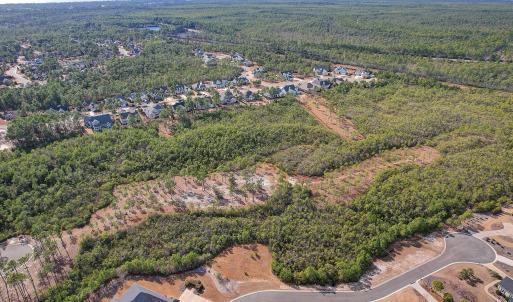 2696YellowPoplarPath - 9