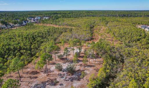 2696YellowPoplarPath - 12