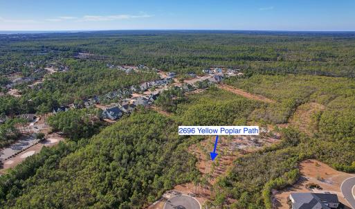 2696YellowPoplarPath - 6