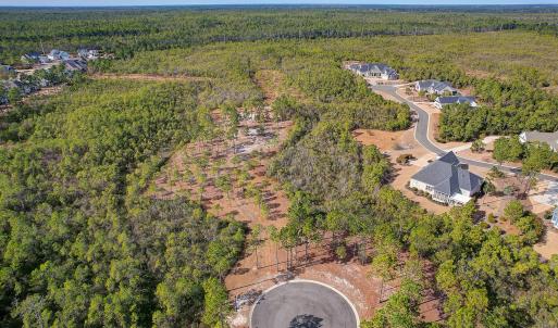 2696YellowPoplarPath - 3