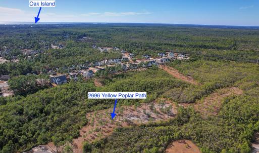 2696YellowPoplarPath - 7