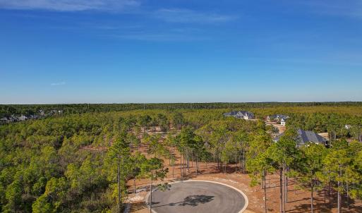 2696YellowPoplarPath - 2