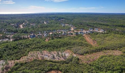 2696YellowPoplarPath - 8