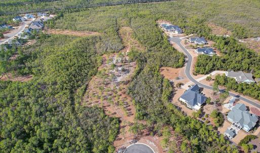 2696YellowPoplarPath - 5