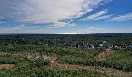 2696YellowPoplarPath - 16