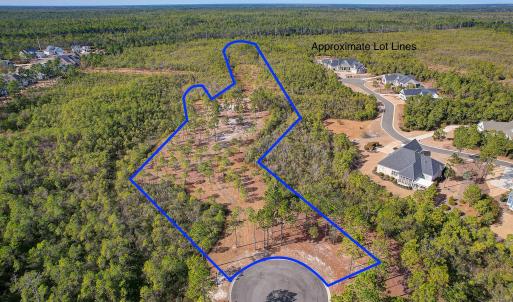 2696YellowPoplarPath - 4