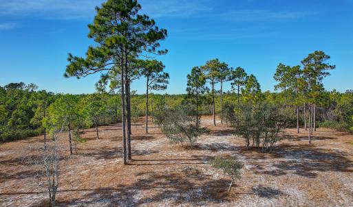 2696YellowPoplarPath - 14