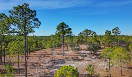 2696YellowPoplarPath - 13