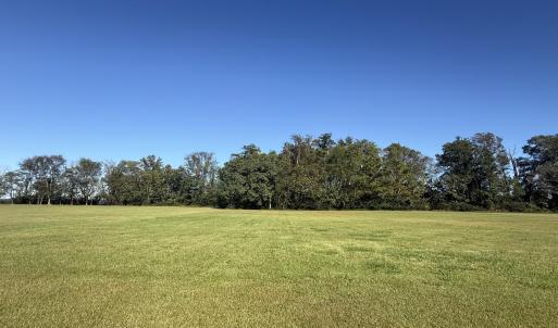 Lot View