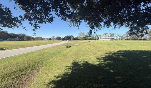 Looking North