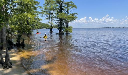 Bertie Beach kayaking