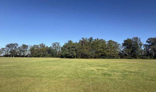 Lot View