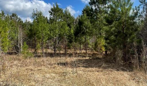 0 Split Drive SE pic 5