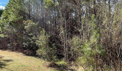 0 Split Drive SE pic 6