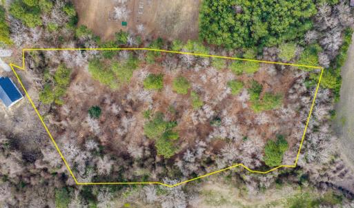 dji_20260121143458_0012_d-edit