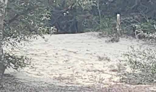 Right Rear property line post