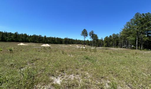 Photo #3 of 349 Lally, Aberdeen, NC 10.3 acres