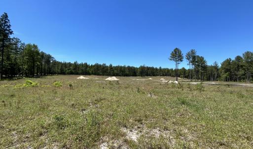 Photo #1 of 349 Lally, Aberdeen, NC 10.3 acres