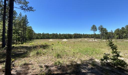 Photo #2 of 349 Lally, Aberdeen, NC 10.3 acres