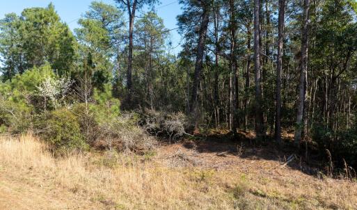 Lot 14 Brickyard Rd MLS-25