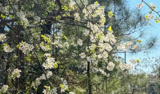 Lot 14 Brickyard Rd MLS-12