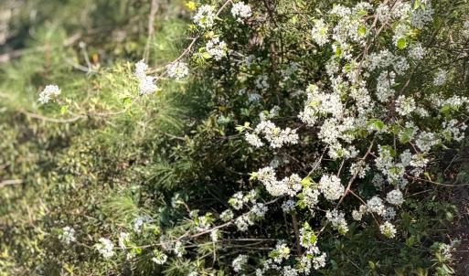 Lot 14 Brickyard Rd MLS-23