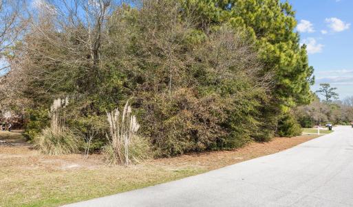 15-web-or-mls-IMG_4065