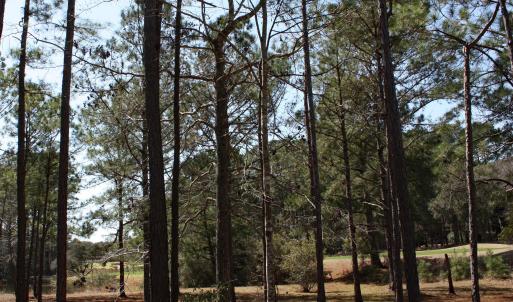 569 Lindgrove Golf and Pond Views