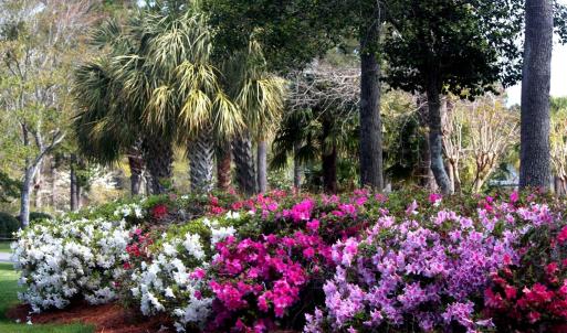 Beautiful, Lush, Well-Maintained Grounds