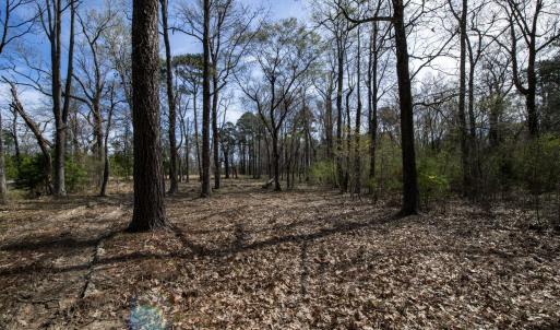 31-web-or-mls-DSC_8236