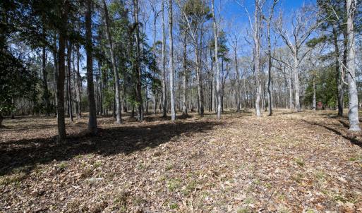 46-web-or-mls-DSC_8251