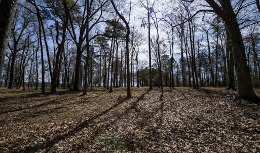 37-web-or-mls-DSC_8242