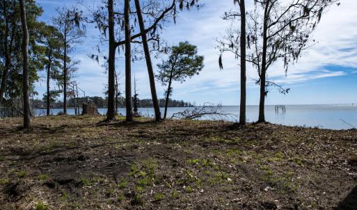 40-web-or-mls-DSC_8245