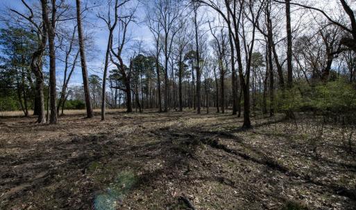 32-web-or-mls-DSC_8237