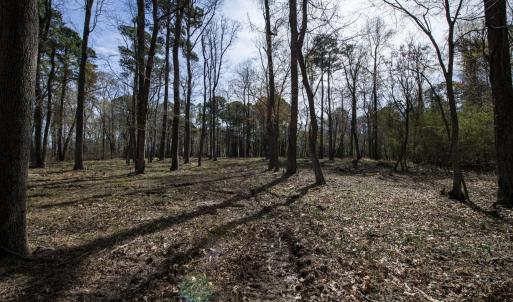 33-web-or-mls-DSC_8238