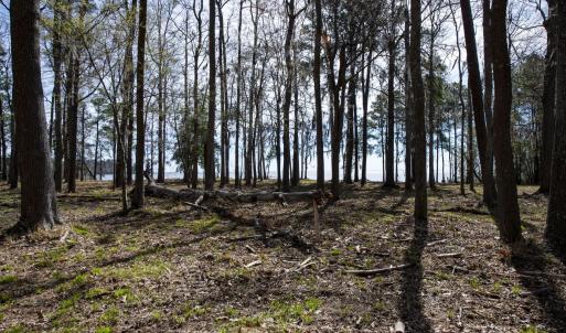 39-web-or-mls-DSC_8244