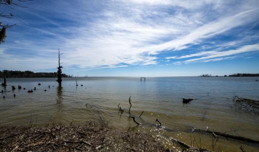 43-web-or-mls-DSC_8248